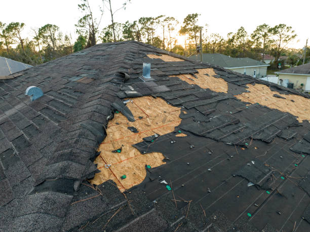 Best Rubber Roofing (EPDM, TPO)  in Raubsville, PA